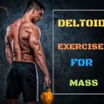 Deltoid Exercises to Build Massive Shoulders