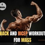 Back and bicep workout for mass