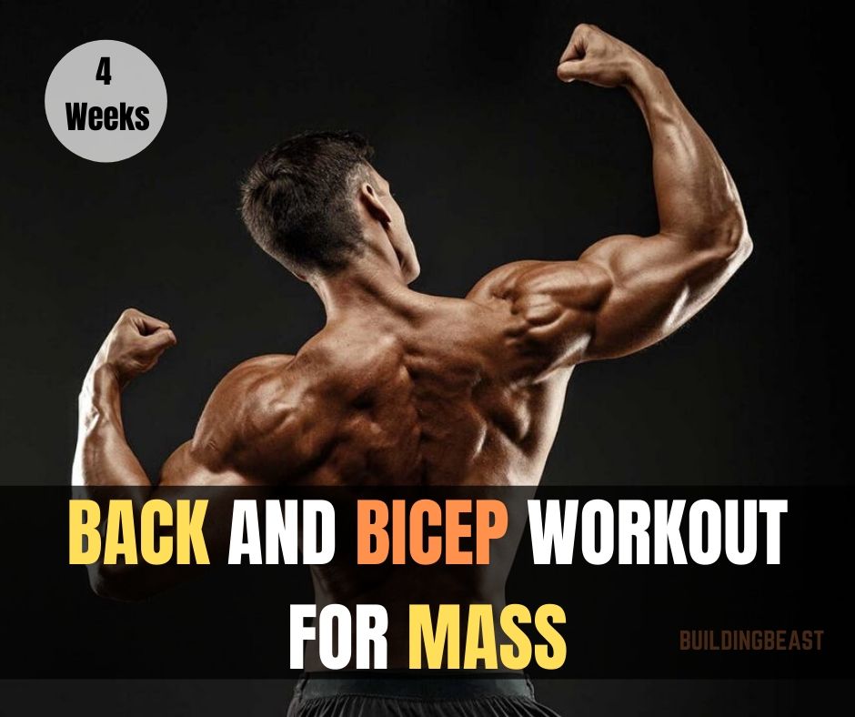 Back and bicep workout for mass