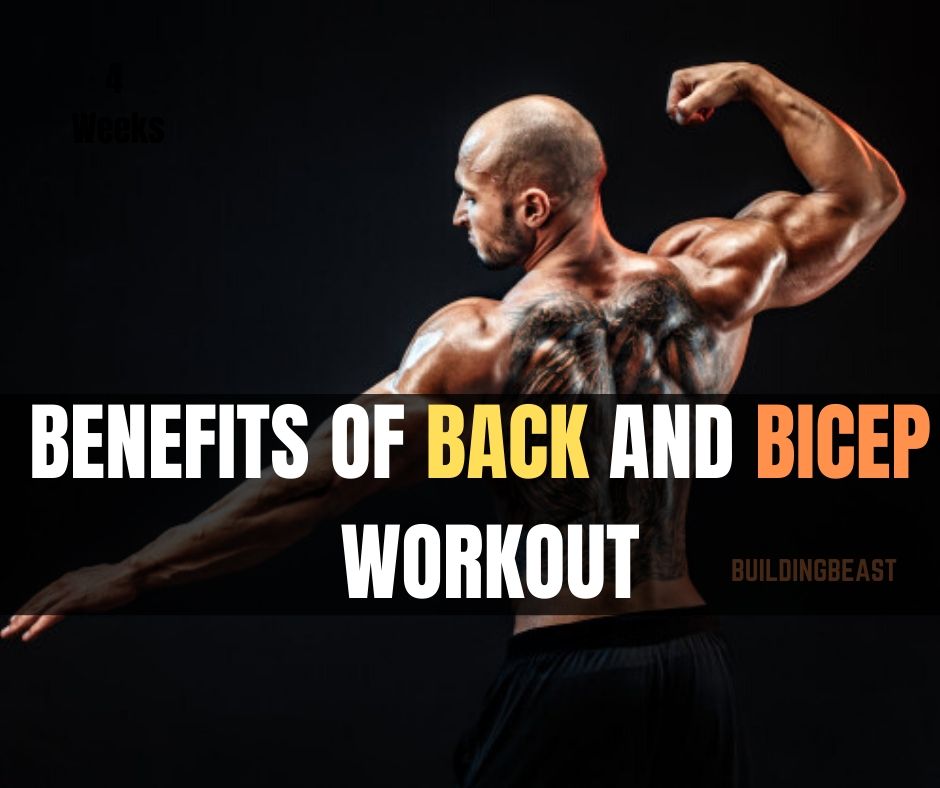 Benefits of back and bicep workout