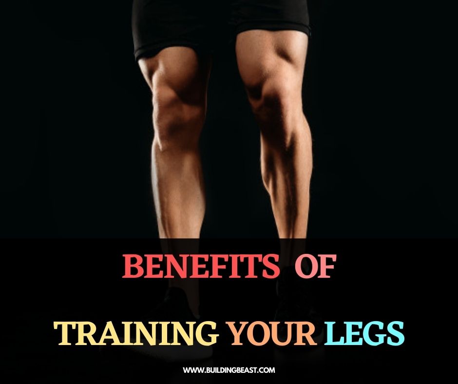 Benefits of muscular legs