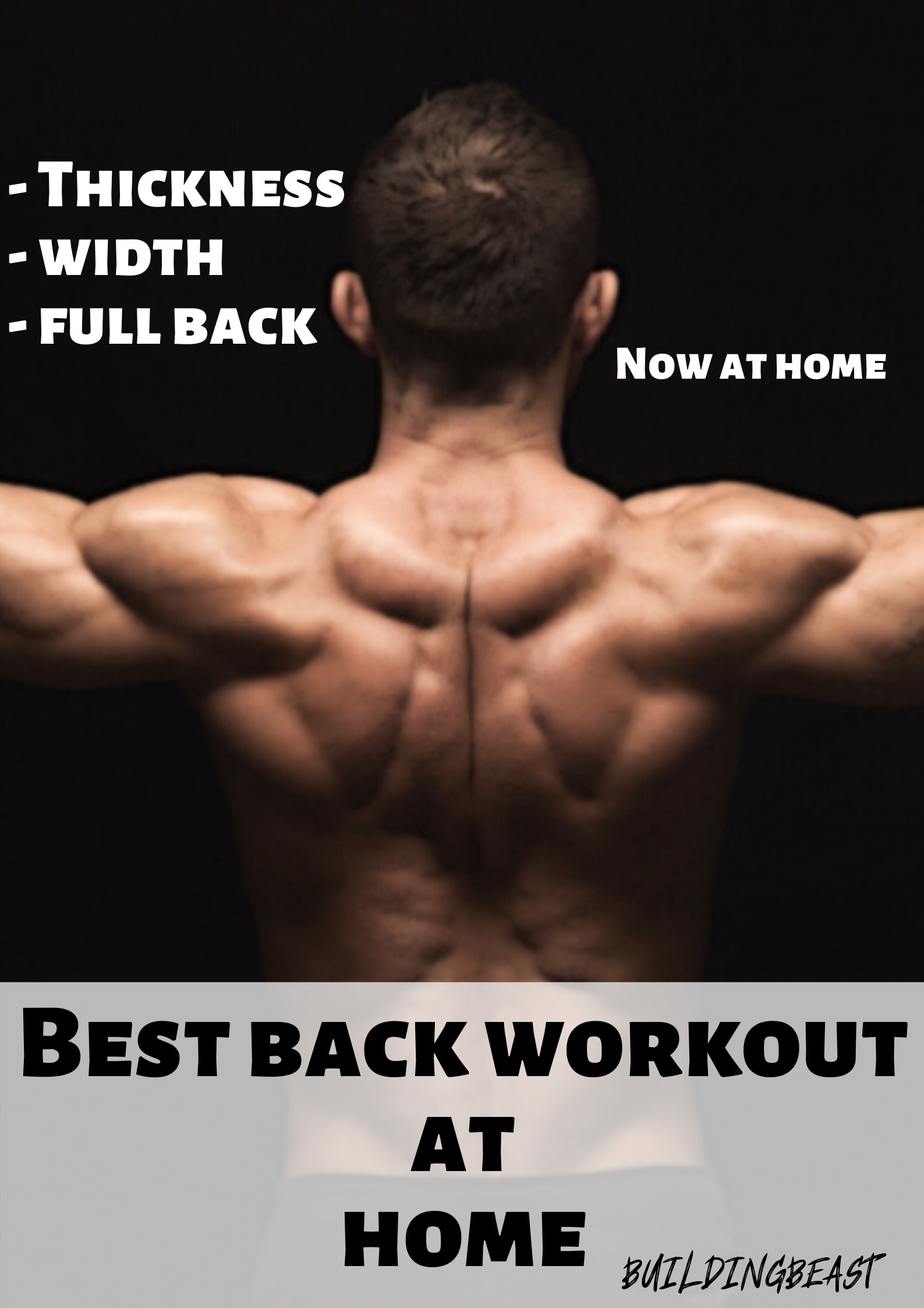 Best back workout at home