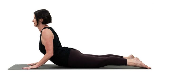 Bhujangasana