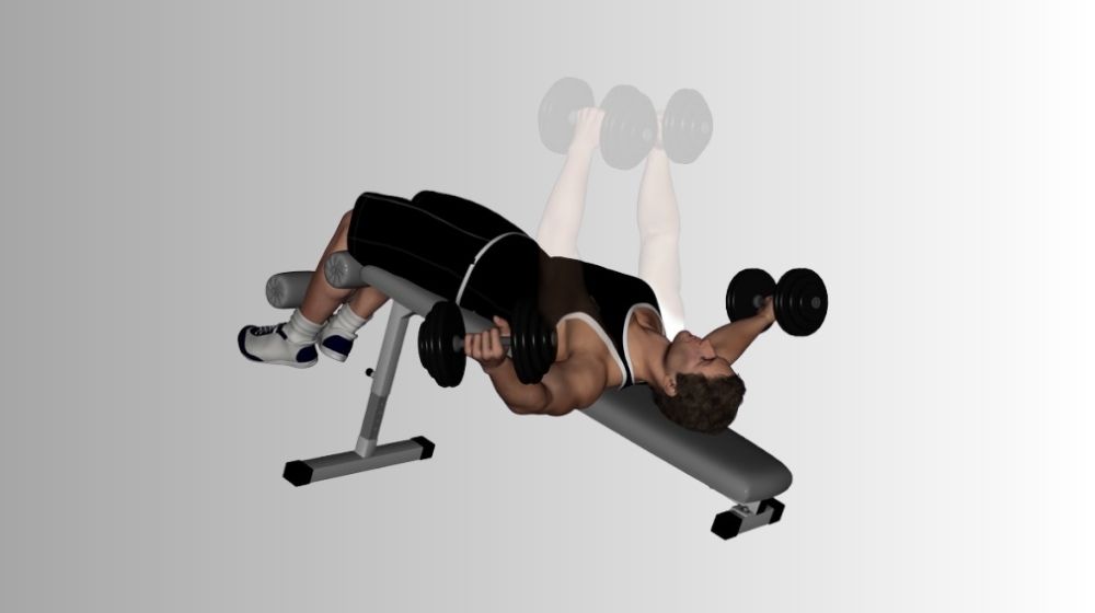 Decline Dumbbell Fly