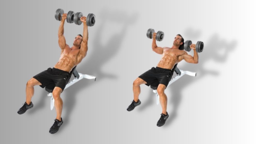 Dumbbell Bench Press