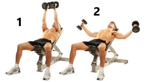 upper chest exercises