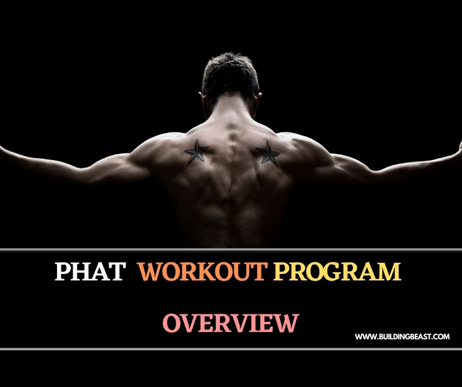 PHAT Workout Program