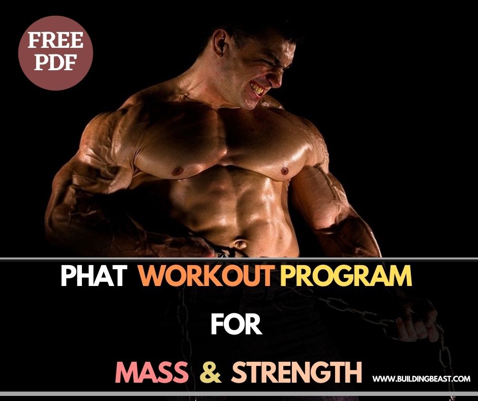 PHAT Workout Program