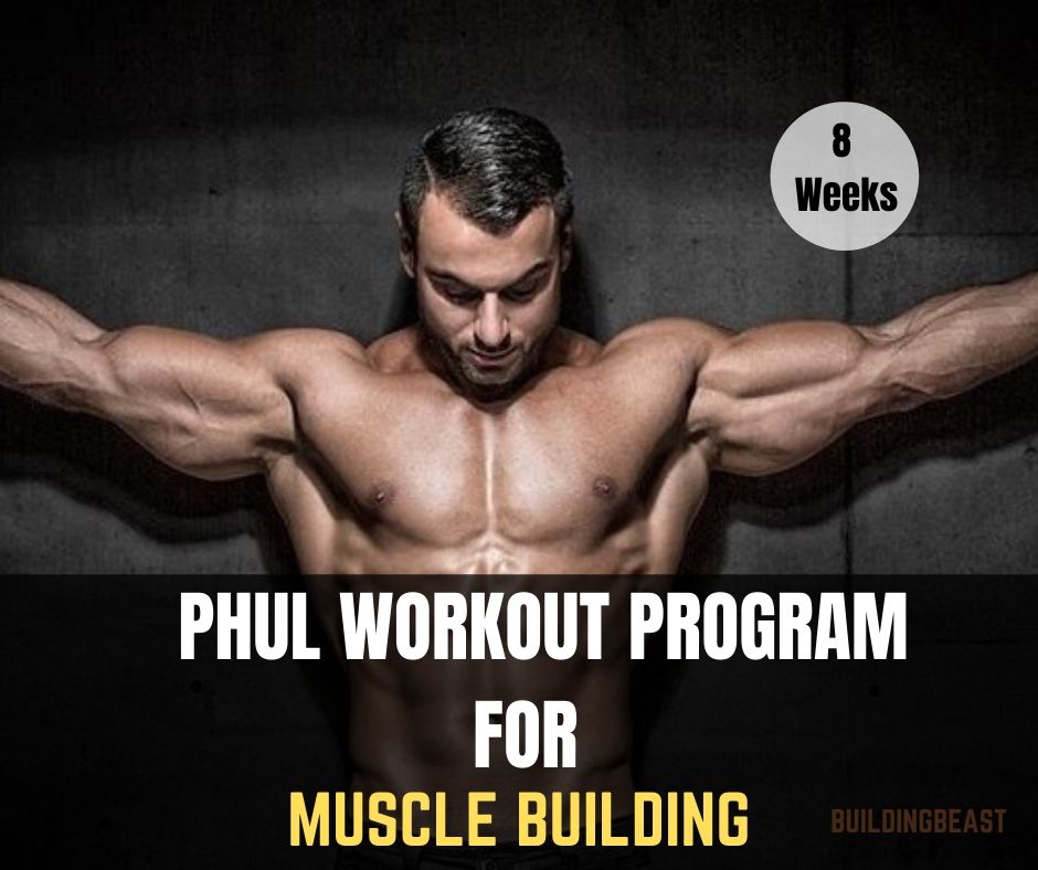 Phul workout plan for muscle building