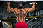 Rear Delt Exercises