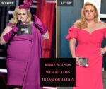 Rebel Wilson Weight Loss Transformation 2