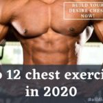 Top 12 chest exercises in 2020