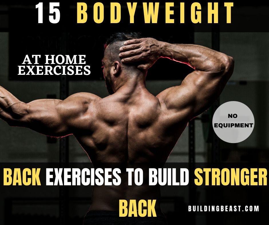 Bodyweight Back Exercises