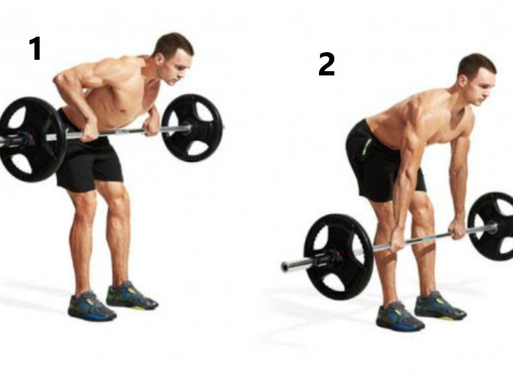 barbell bent over row 1