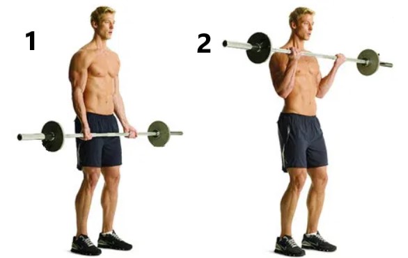 barbell curl