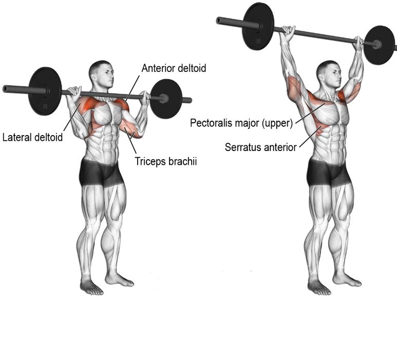 barbell overhead press 1