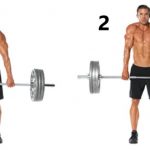 barbell shrugs