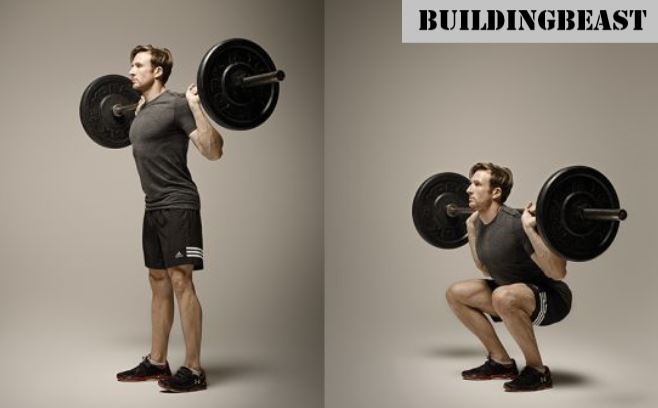 barbell squats