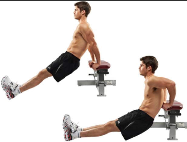 bench dips2