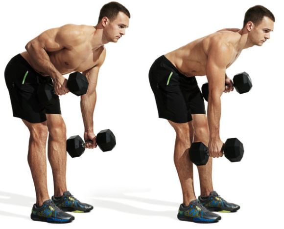 bent over dumbbell