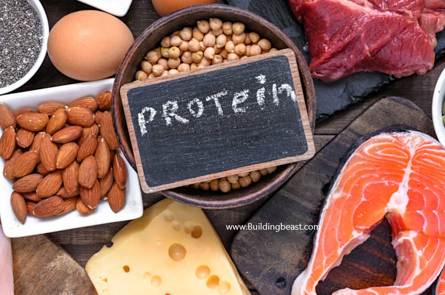 can a high protein diet help you lose weight