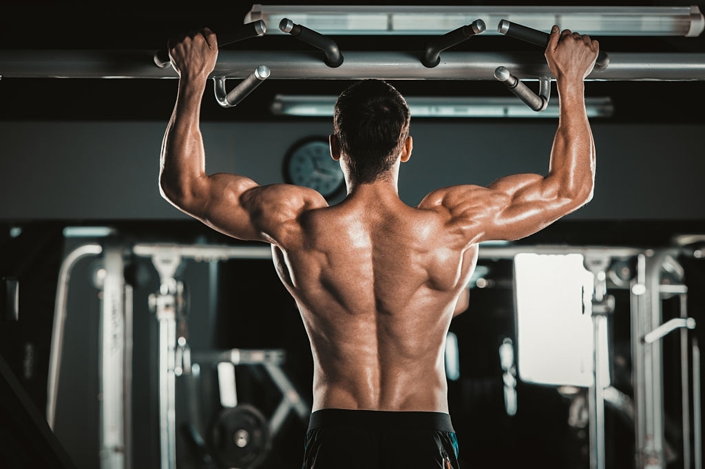 back workout for mass