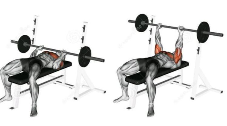 close grip bench press1