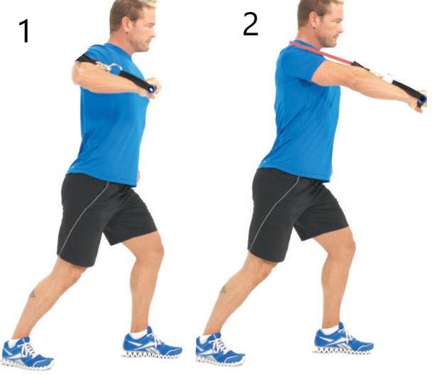 decline chest press with bands back