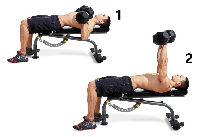 dumbbell bench press1