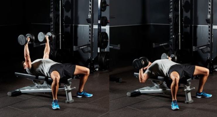 dumbbell bench press