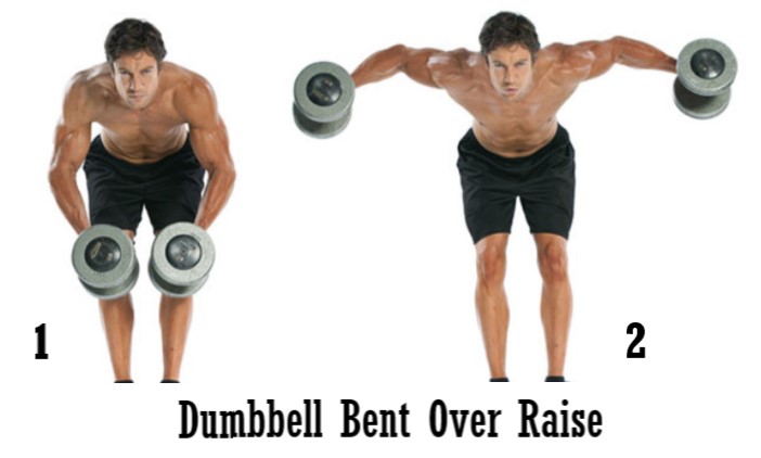 dumbbell bent over raise