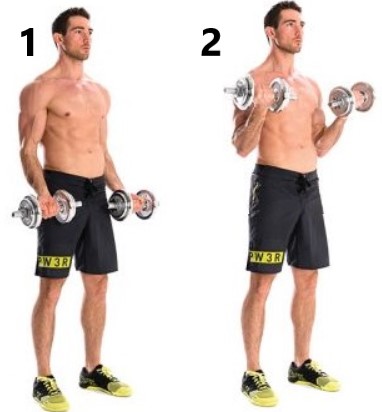 dumbbell curl