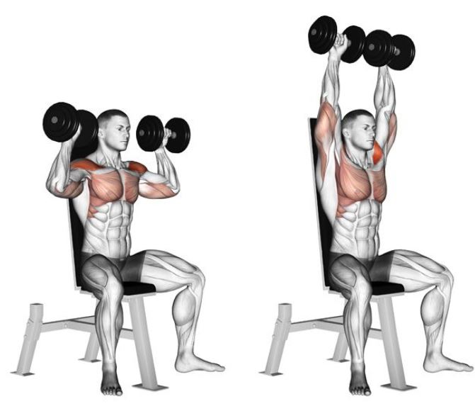 dumbbell press2