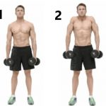 dumbbell shrugs