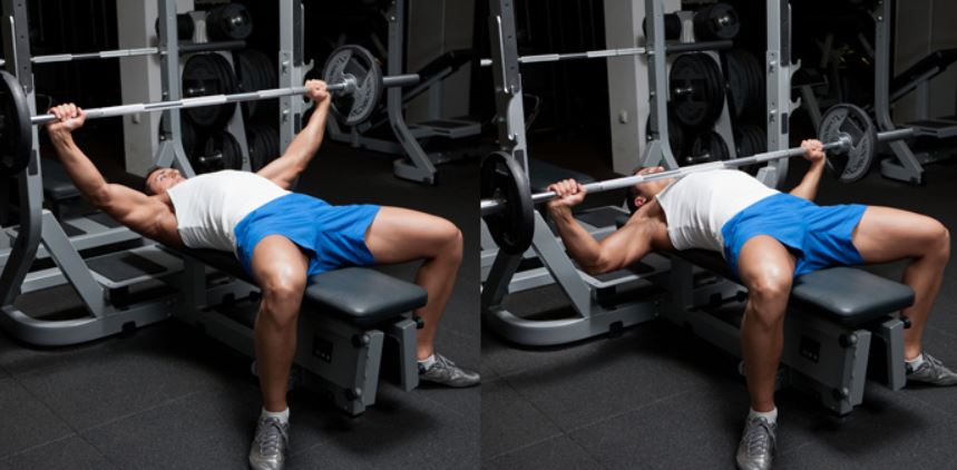 flat bench 1