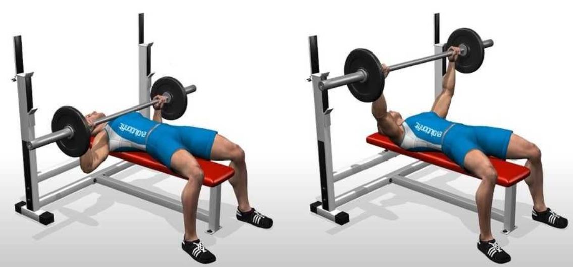 flat bench workout