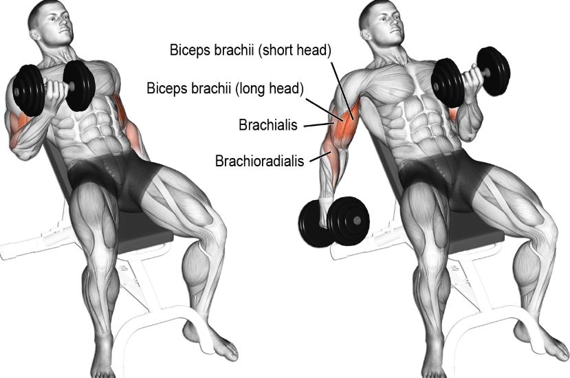 incline dumbbell 3