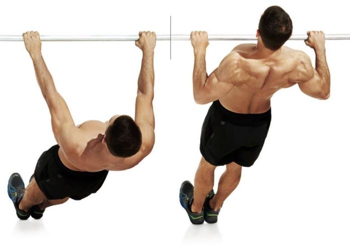 inverted row