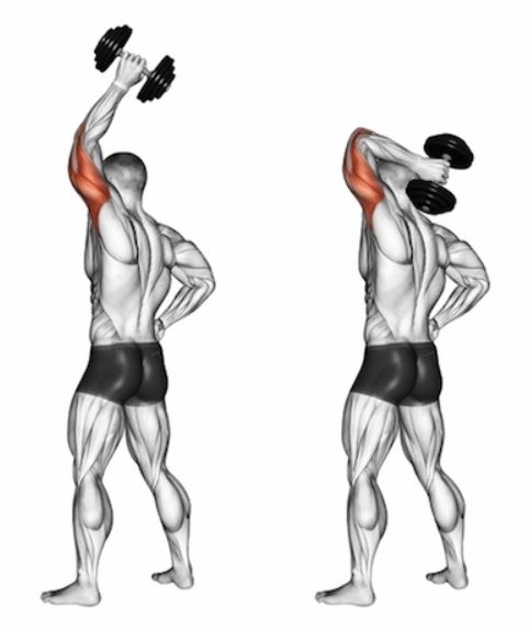 overhaead triceps d 2