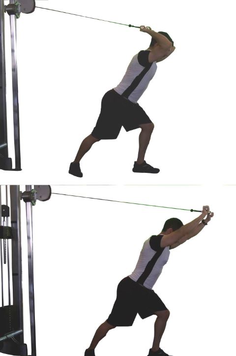 overhead cable triceps1