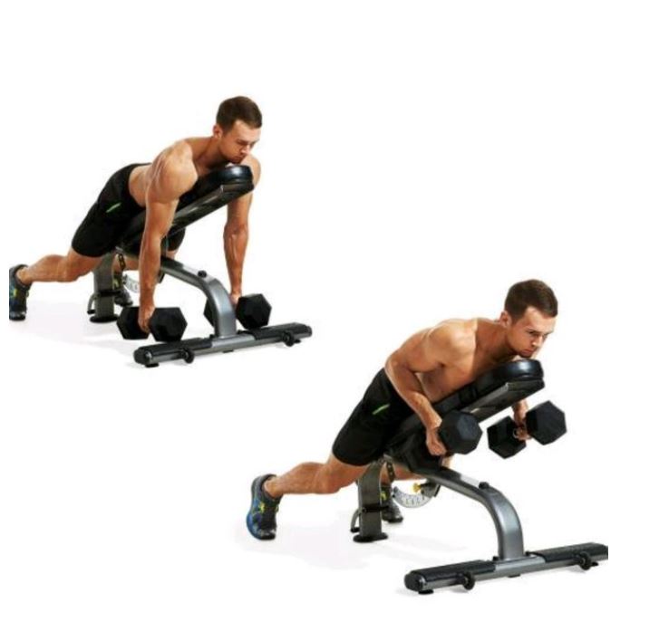 chest dumbbell workout