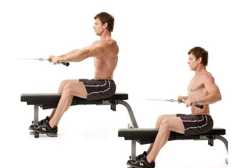 seated cable row