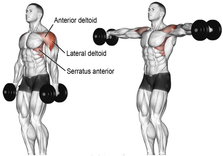 side lateral raise22