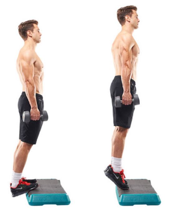 standing calf raise