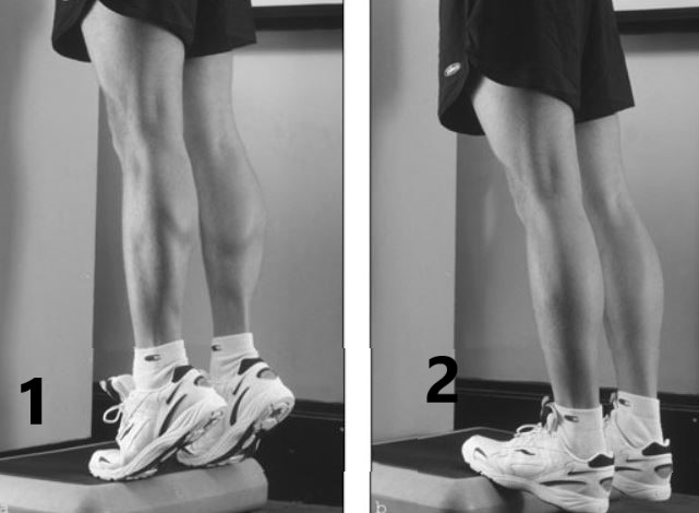 standing calf raise1