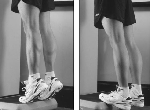 standing calf raise1