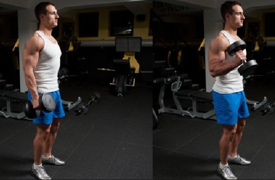 Exercises to build bigger arms