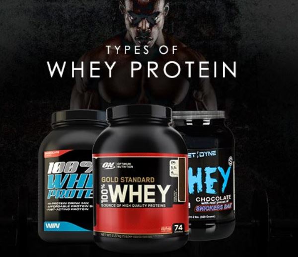 types of whey protein 1