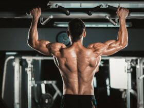 Top 10 Upper Back Exercises for Strength and Posture