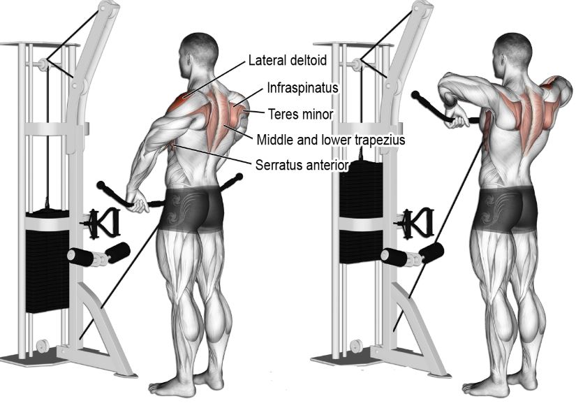 upright cable row 1